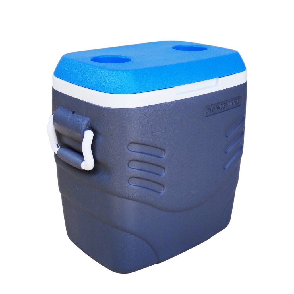 Hielera 20l
