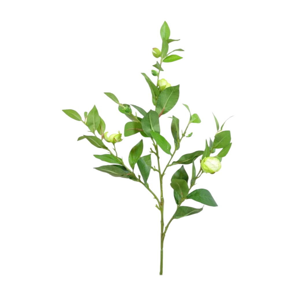 Camellia Spray X4 Verde 89cm