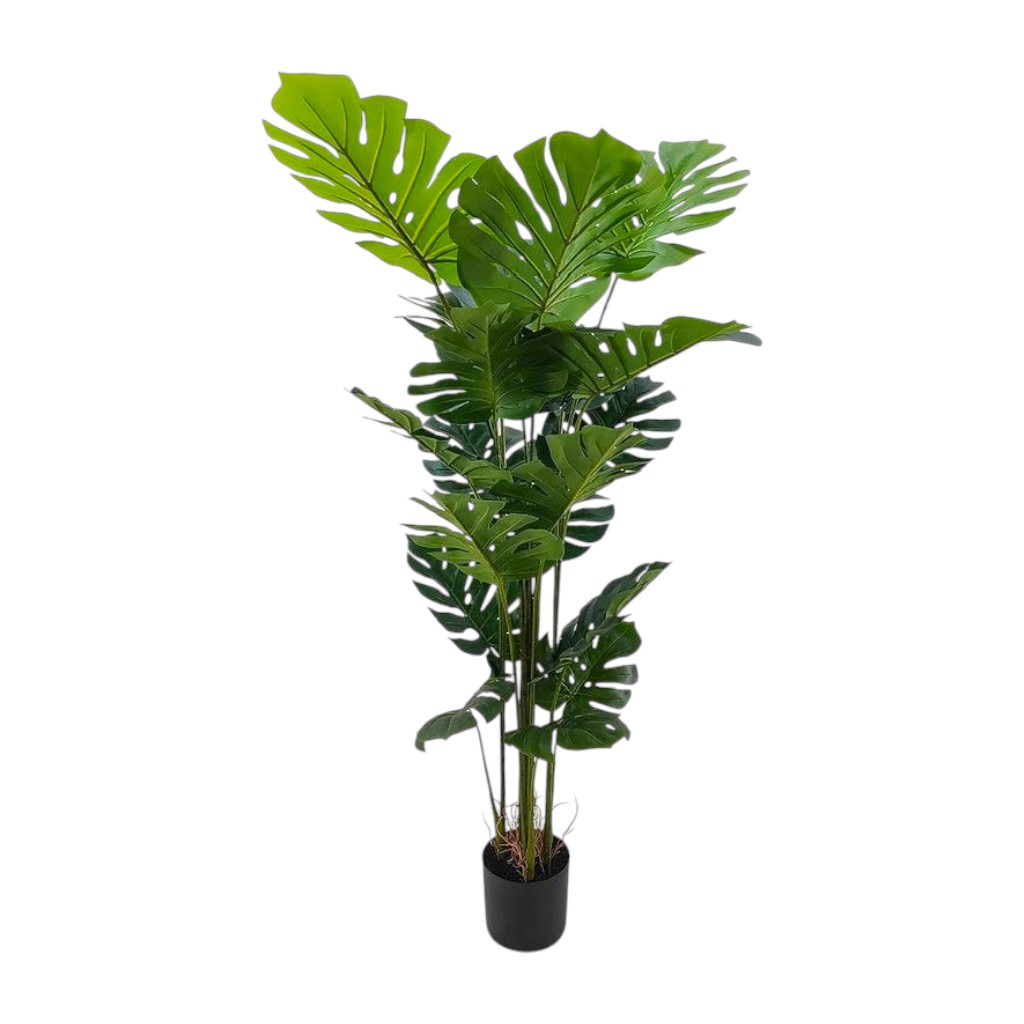 Planta Artificial Monstera 5 Pies
