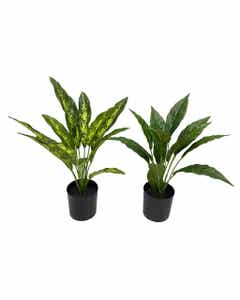 Plantas artificiales de rohdea en maceta 45CM surtidas