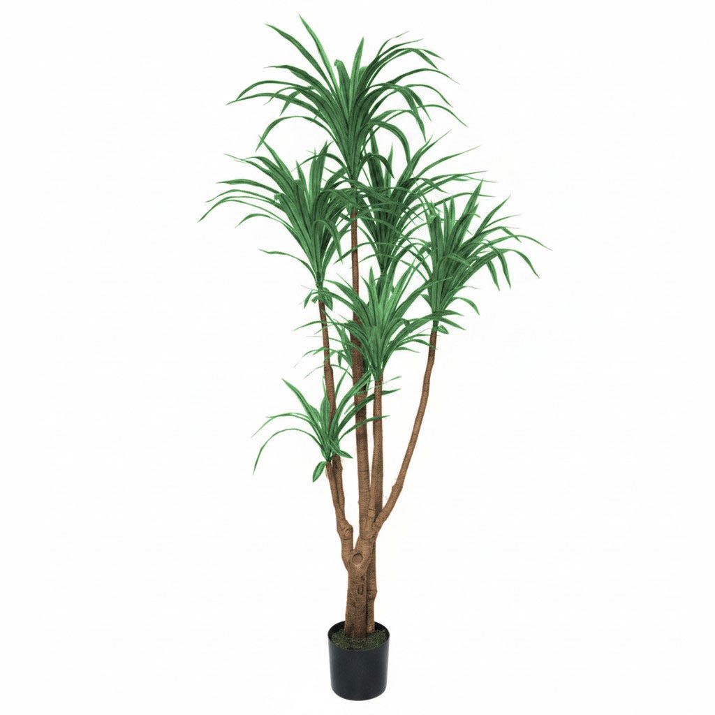 Dracaena Artificial 2m