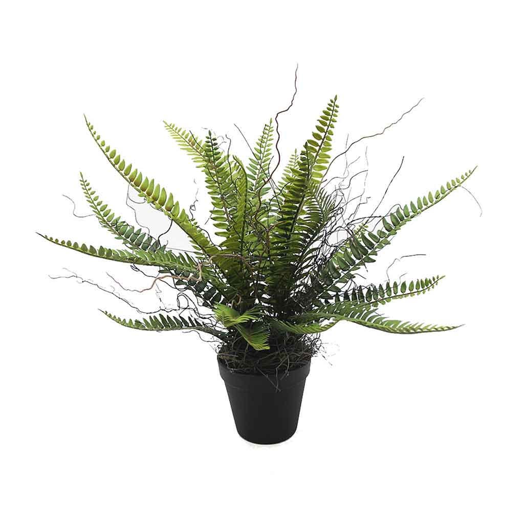 Planta Artificial Boston En Maceta Plástica 17Cm