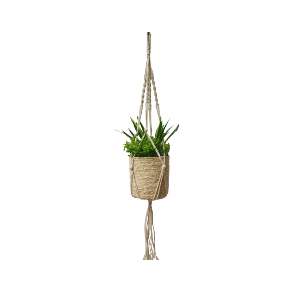 Colgador De Planta 100Cm