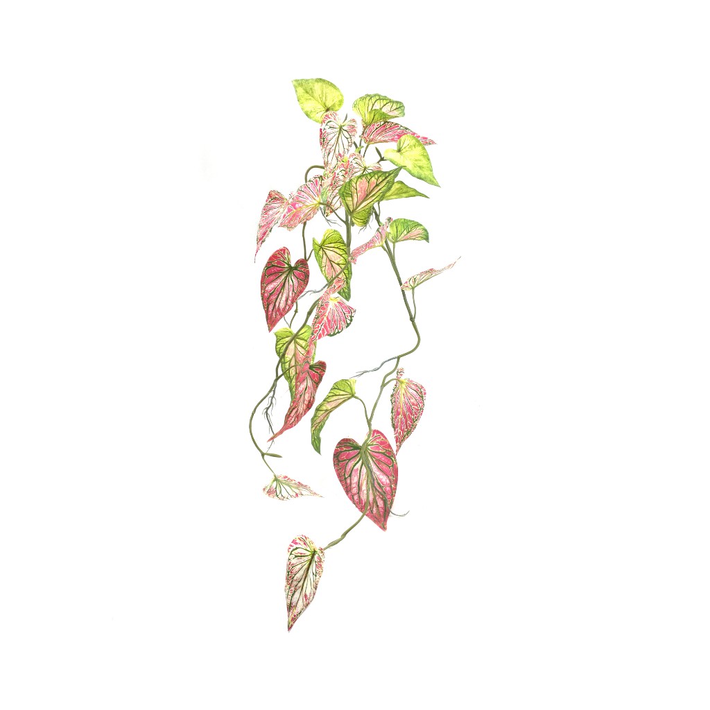 Arbusto Colgante Artificial 73Cm