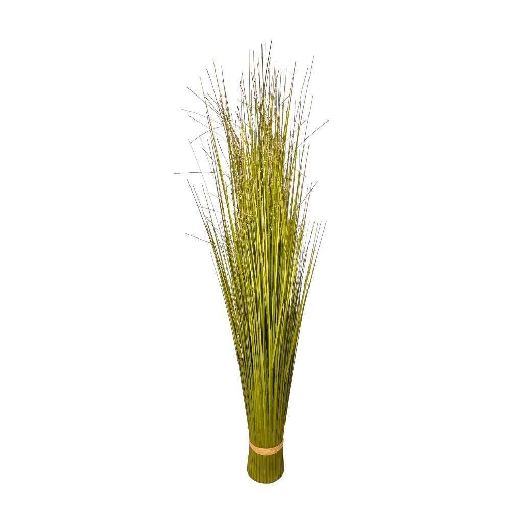 Arbusto De Cebolla 1.5M/4.5Ft