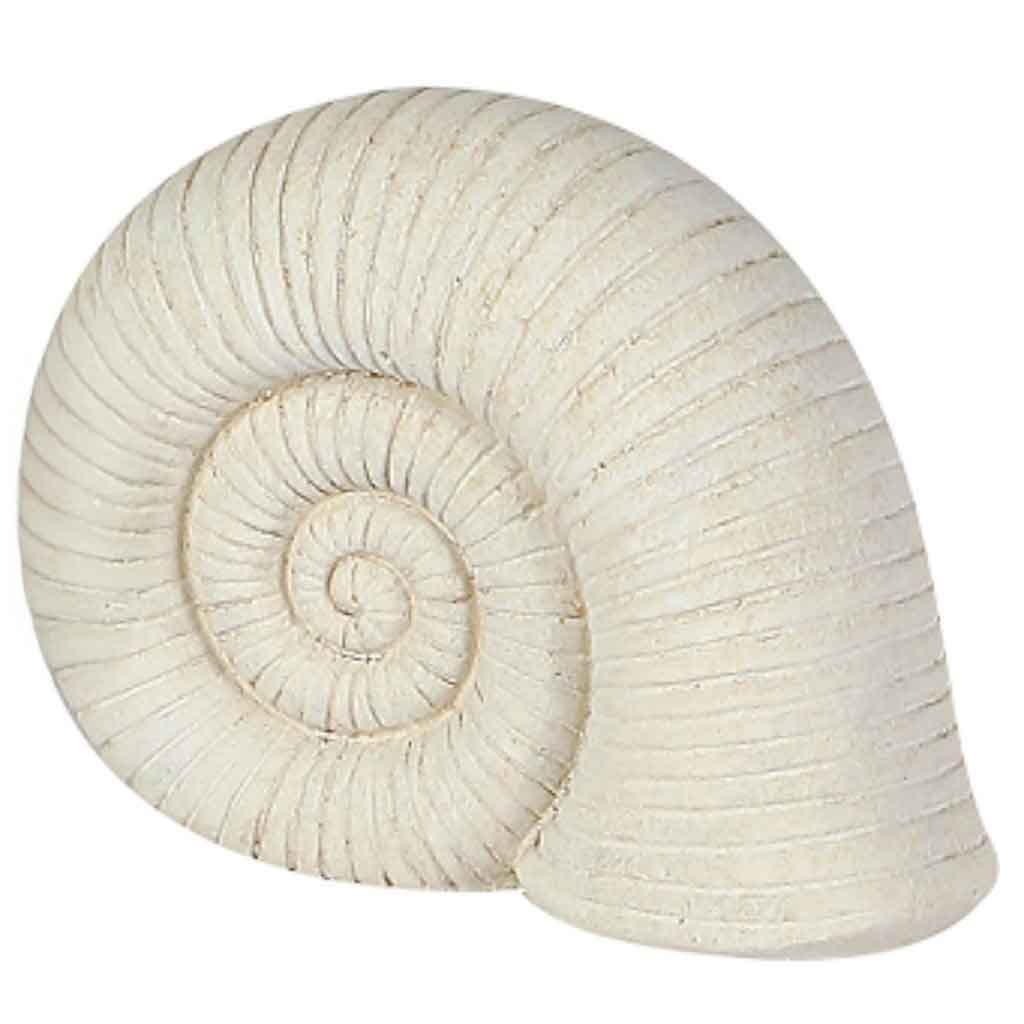 Figura Decorativo Concha De Mar 23.5X9.5X17.5Cm
