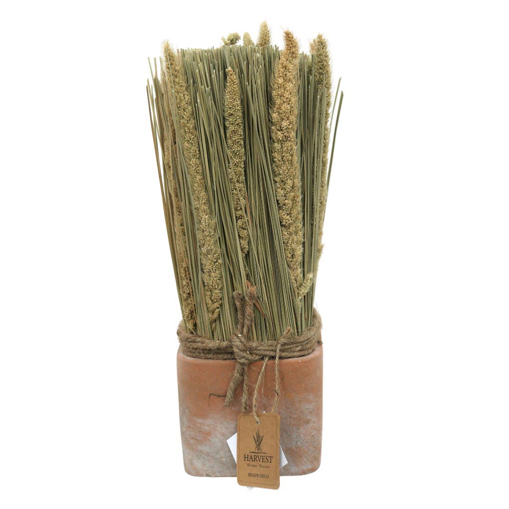 Espigas Decorativas 10x30cm
