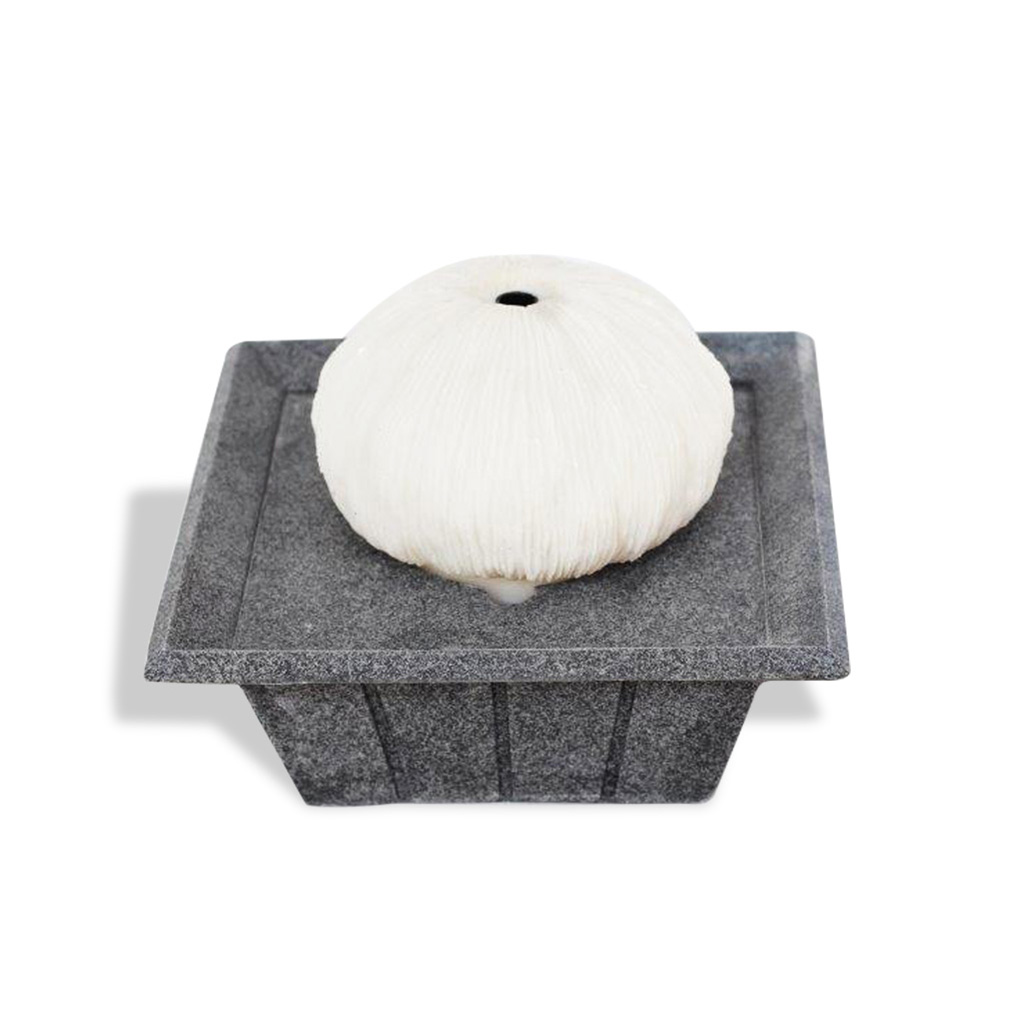 Fuente Decorativa 20x20x15cm