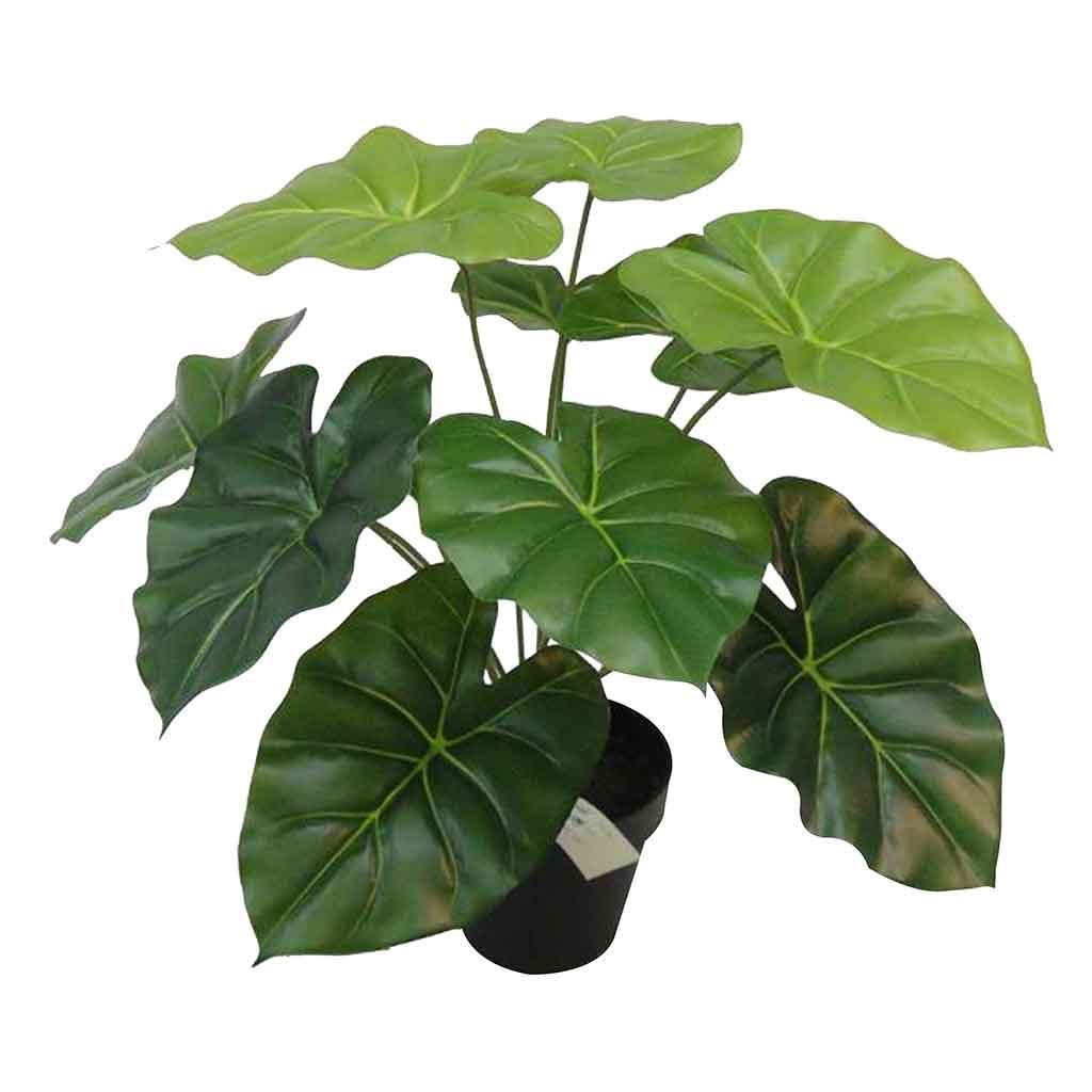 Planta artificial de philo en maceta 40CM