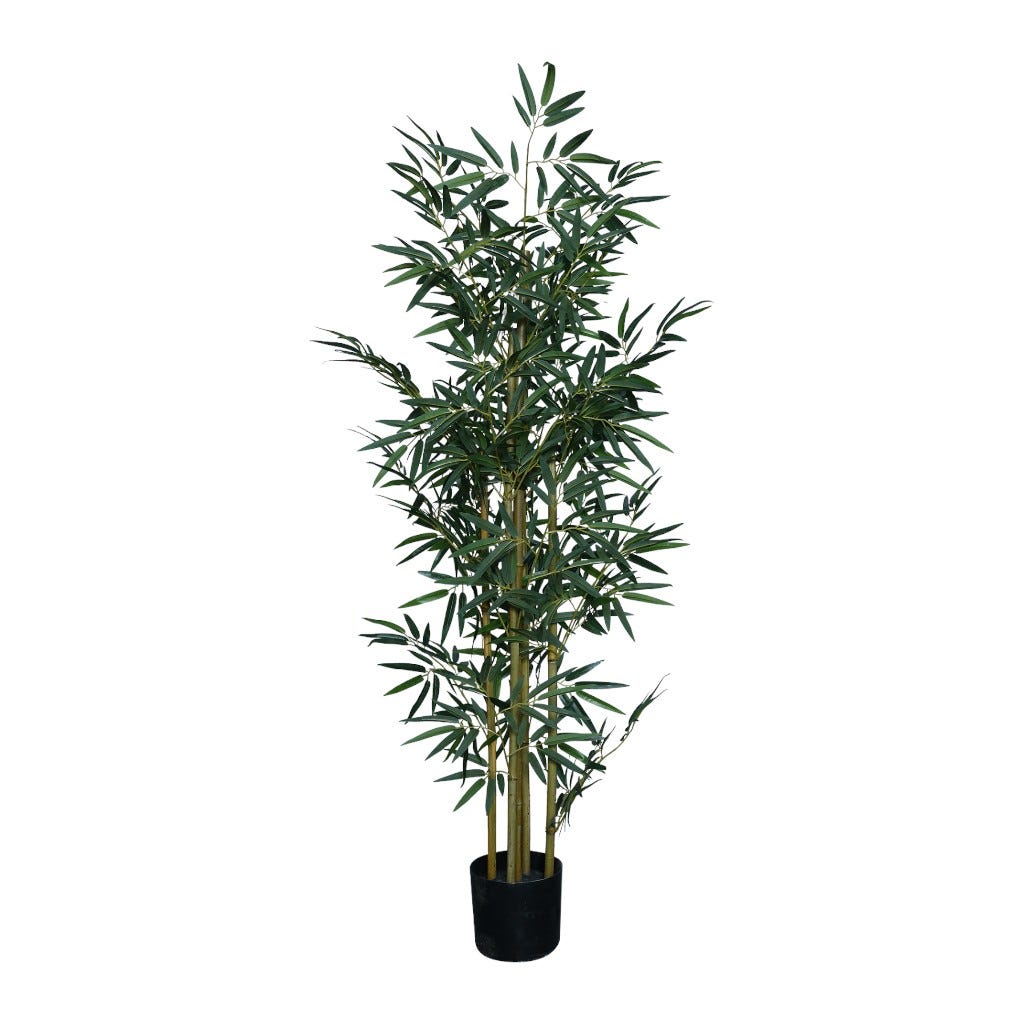 Bambu X5 Artificial 150cm