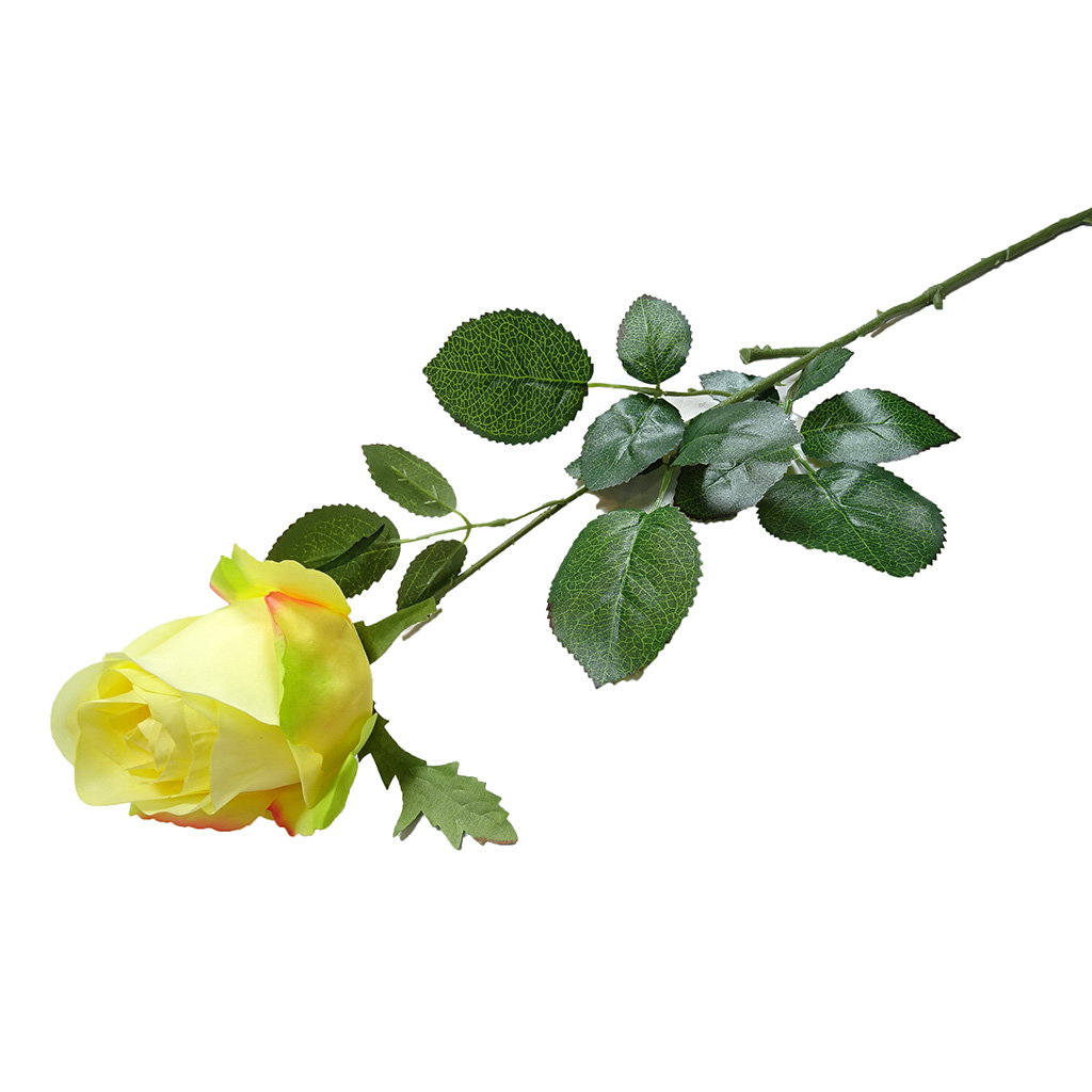 Capullo De Rosa Amarilla 74Cm