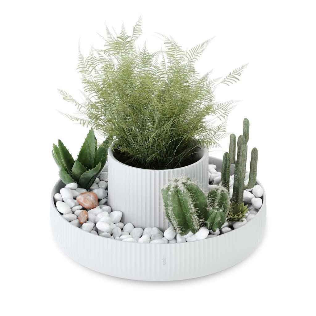 Macetero De Cerámica Moderno Blanco