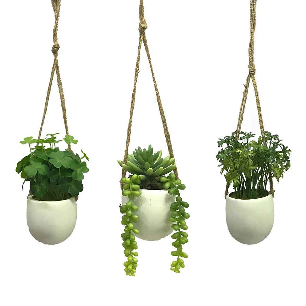 Planta Artificial De Suculenta En Maceta Colgante 12Cm