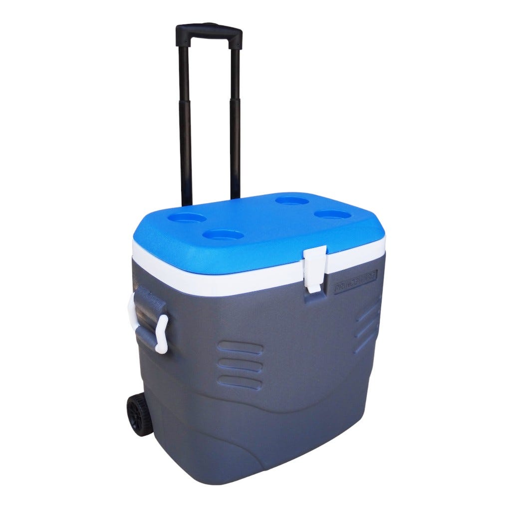 Hielera 41l