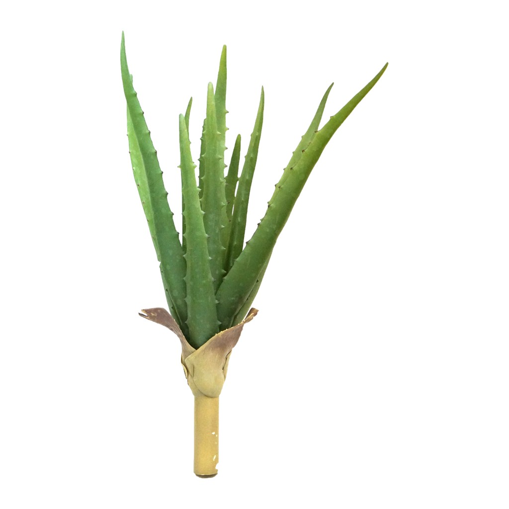 Arbusto Artificial De Aloe Verde 35Cm Surtida