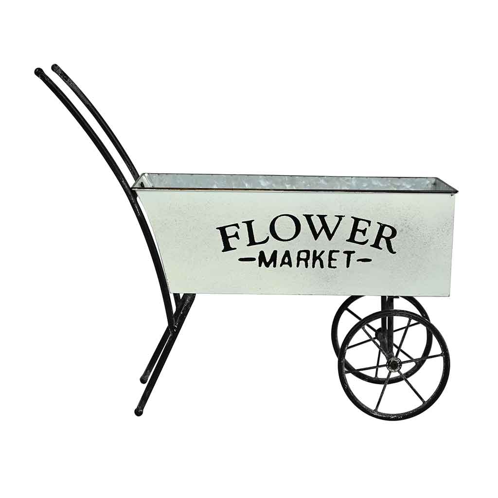 Carretilla para plantas 56X19X50CM