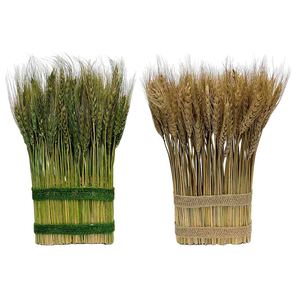 Decoración De Racimos De Trigo Surtido 35Cm