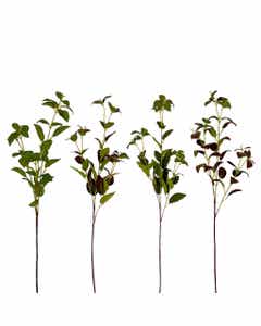 Plantas Decorativas Surtidas 78cm