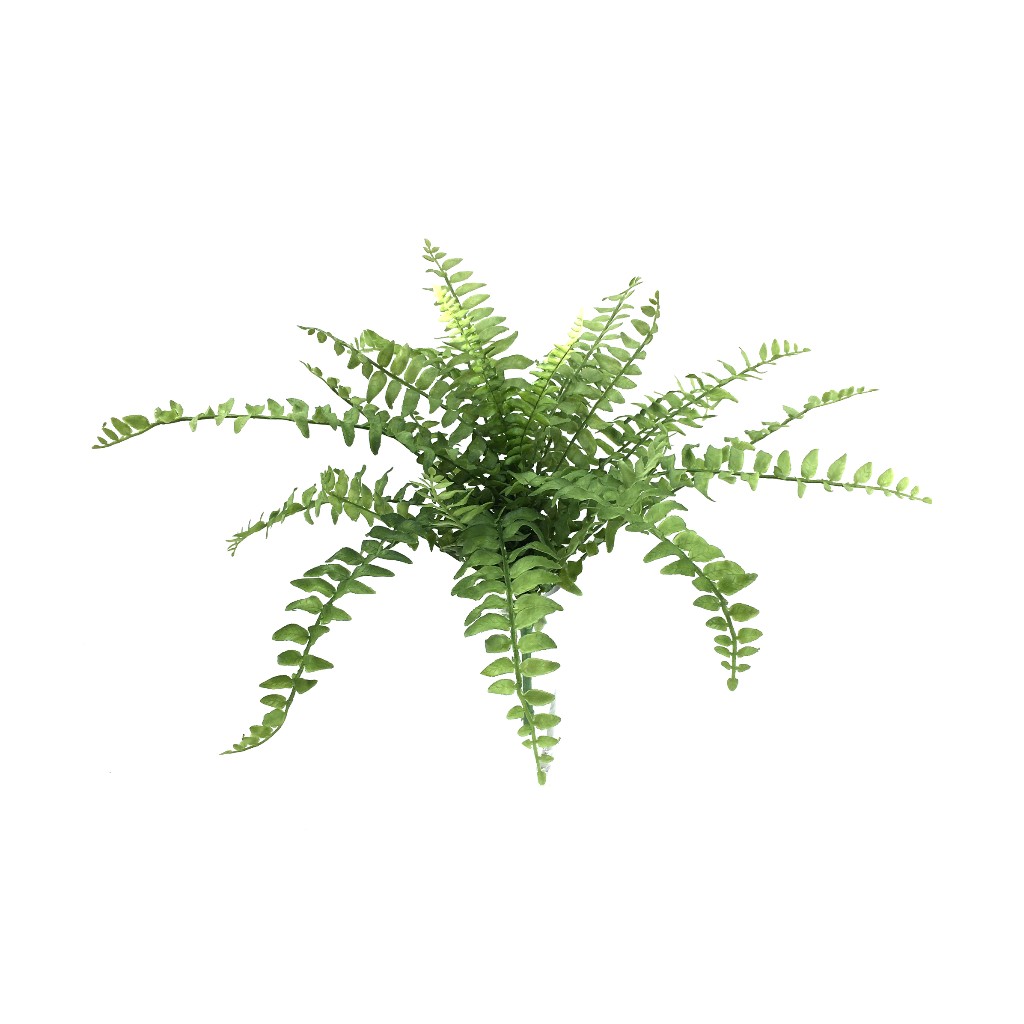 Arbusto De Helecho Lvs Verde Artificial 30Cm