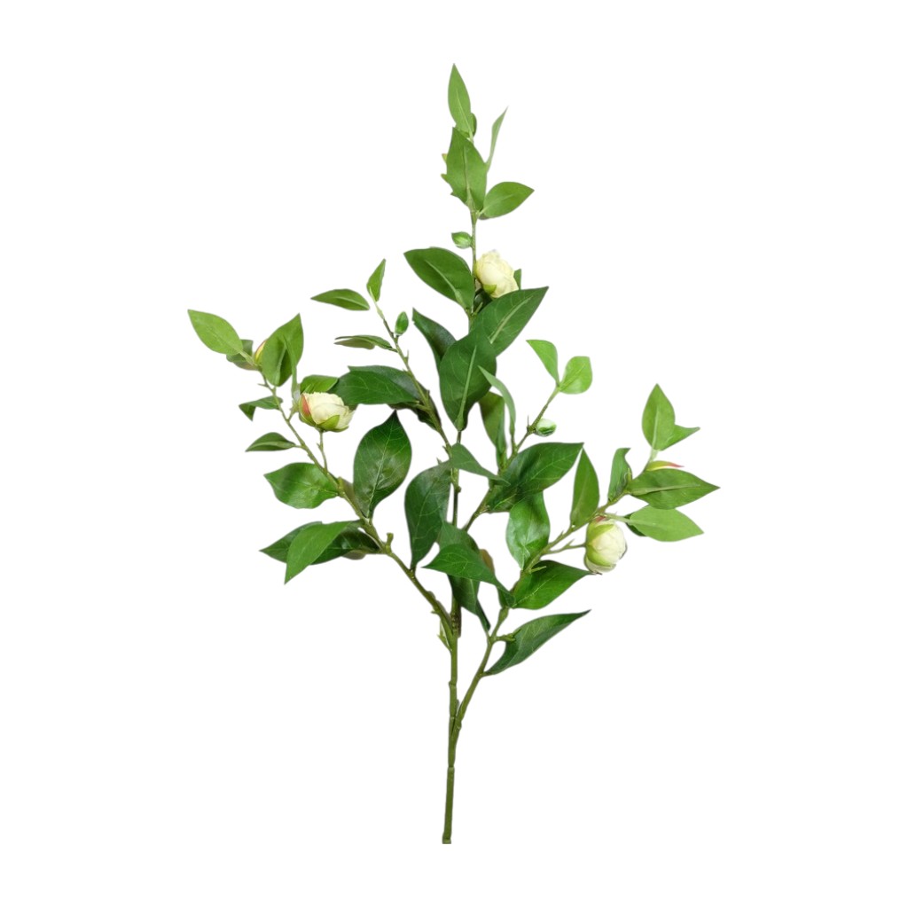 Camellia Spray X4 Crema 89cm