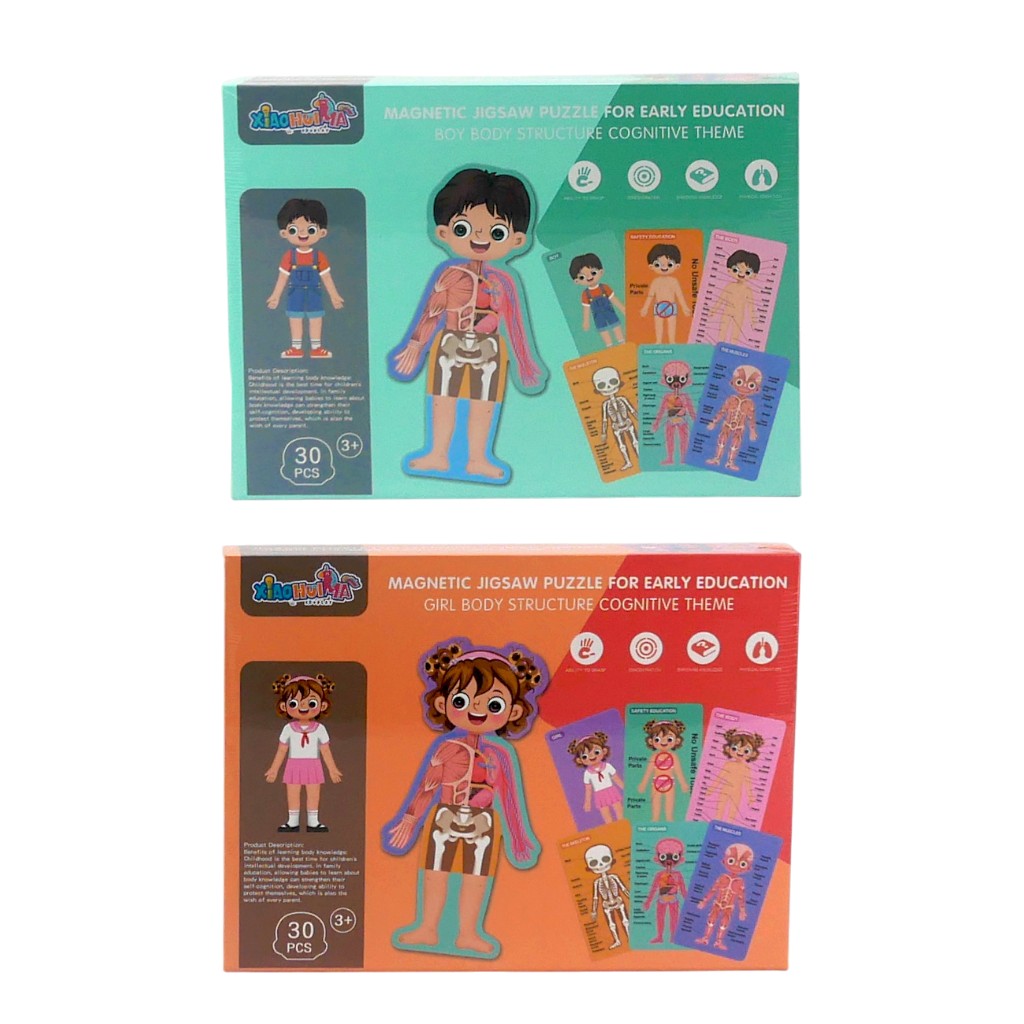 Rompecabezas Mágnetico Tema Cognitivo Surtido