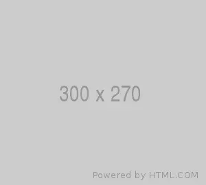 300x270 2